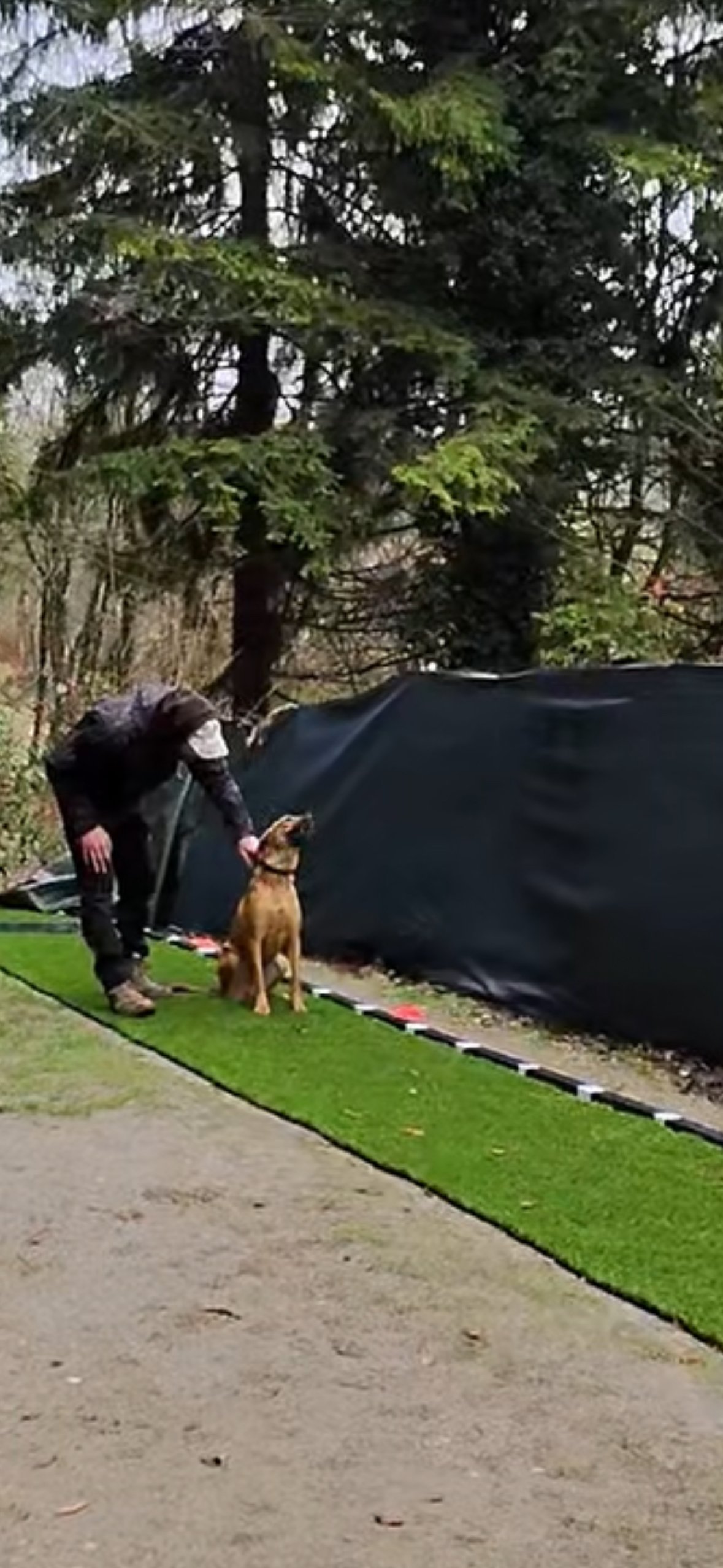 Travail de concentration avec récompense sur terrain spécifique